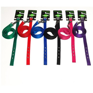 -CCCNC2-conjunto-correa-y-collar--1700945746.jpg